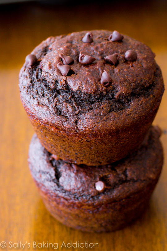 Skinny Double Chocolate Chip Muffins